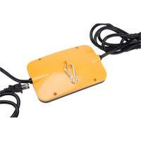 LED String Work Lights, 5 Lights, 50' L, Plastic Housing Moffatt Supply & Specialties