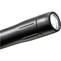 Lampe stylo, DEL, 139 lumens, Corps en Plastique, piles AAA, Compris Moffatt Supply & Specialties