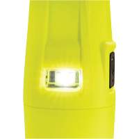 Lampe de poche VLO, DEL, 280 lumens, Piles AA Moffatt Supply & Specialties