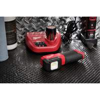 M12 Paint and Detailing Color Match Light, LED, 1000 Lumens Moffatt Supply & Specialties