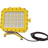 Explosion Proof Floodlight with Floor Stand, LED, 40 W, 5600 Lumens, Aluminum Housing Moffatt Supply & Specialties