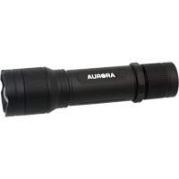 IP67 Flashlight, LED, 2000 Lumens, Rechargeable Batteries Moffatt Supply & Specialties