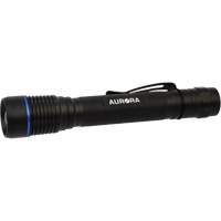 IPX7 Flashlight, LED, 250 Lumens, AA Batteries Moffatt Supply & Specialties