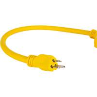 Adaptateur de rallonge d'alimentation, Ext&eacute;rieur, STOW, AWG 12/3, 15 A, 3 prise(s), 2' Moffatt Supply & Specialties