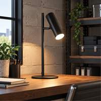 Metal Table Lamp with FR Acrylic Diffuser, 6 W, LED, 19-3/4" Neck, Black Moffatt Supply & Specialties