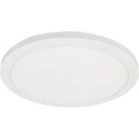 Matte White Surface Flush Mount Light Moffatt Supply & Specialties